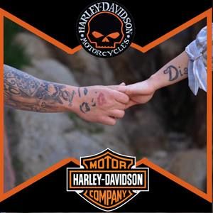 Meet your Posher, Wyatt